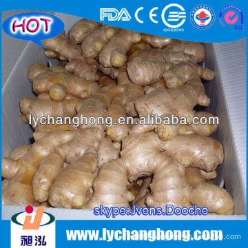 air dried ginger for uk,canada,usa,eu and dubai market